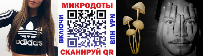 цены наркотик  Отрадное  Галлюциногенные грибы Psilocybine cubensis 